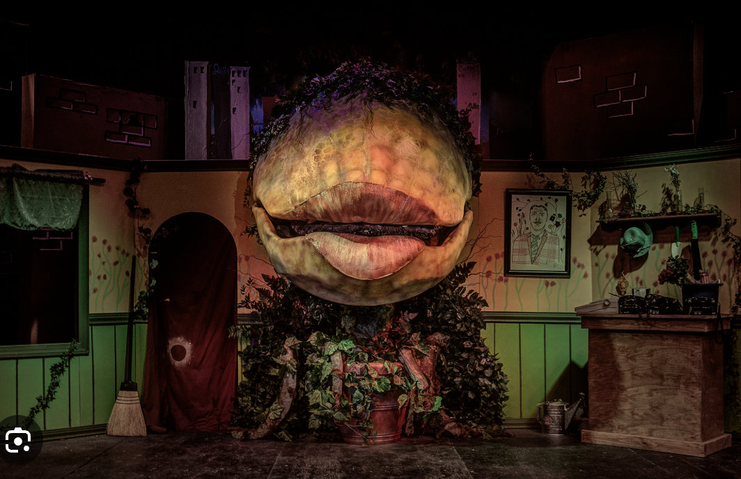 Audrey II - Image 3