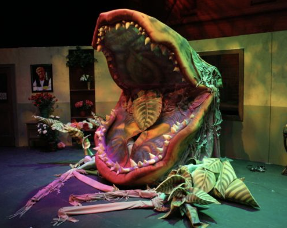 Audrey II - Image 2